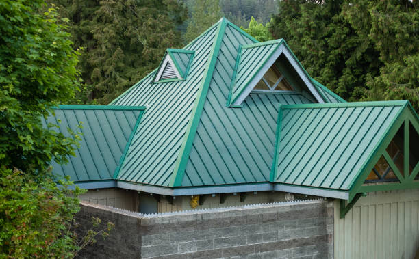 Best Solar Panel Roofing Installation  in Black Mountain, NC